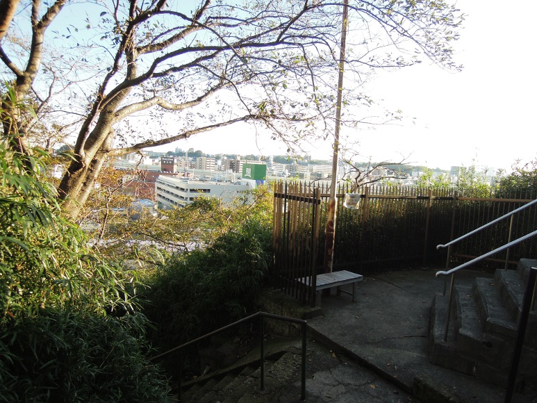 藤原 ちから