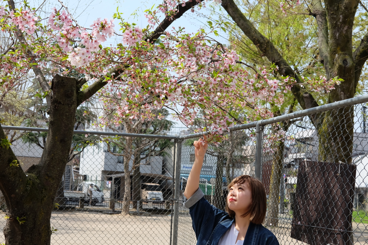 広田 すみれ