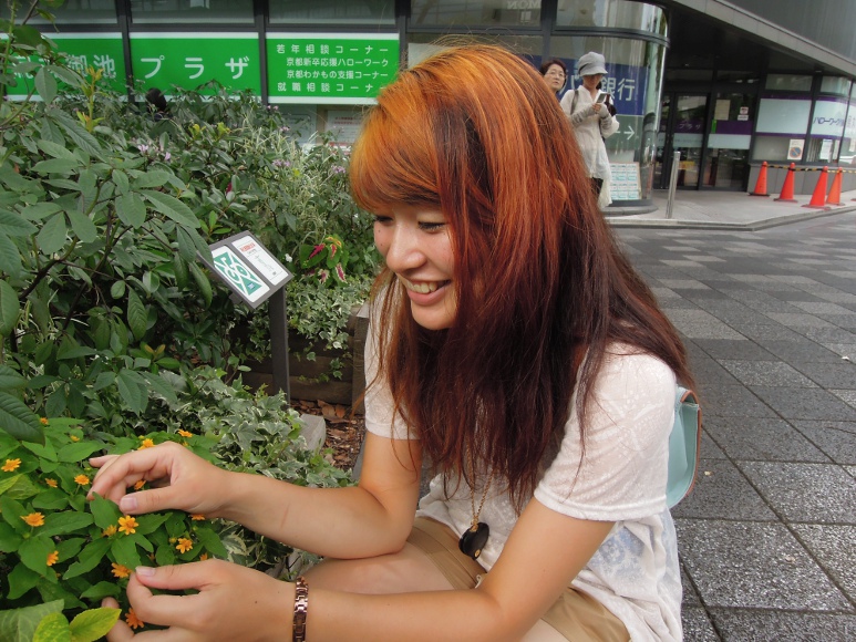 飯坂 美鶴妃
