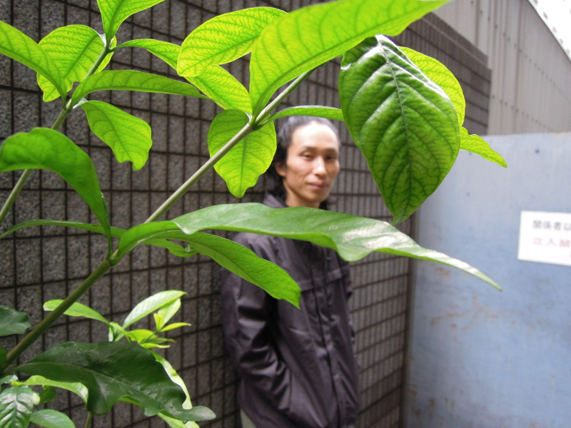 今村 達紀