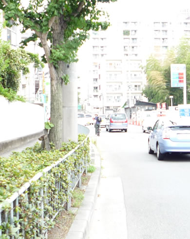 伊藤 拓