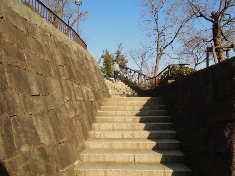横山 拓也